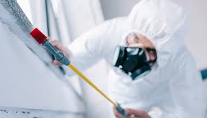 Best Pest Exclusion Services  in Montclair, CA